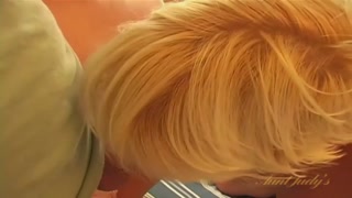 Blonde BJay’s Tits and Belly Soaked in Cum - porno gratuito su GEEZ.TUBE